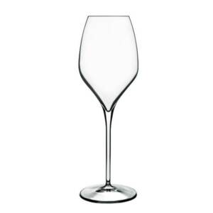 MAGNIFICO/CALICE cl.45 C387 BORMIOLI L.