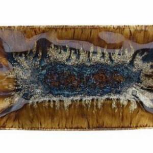 REEF OYSTER/PIATTO RETT. CM.35X20 TOGNANA