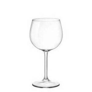 RISERVA/CALICE BAROLO CL.48
BORMIOLI R.